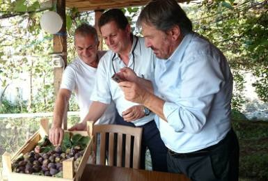 gallery/organik-incir-karadeniz