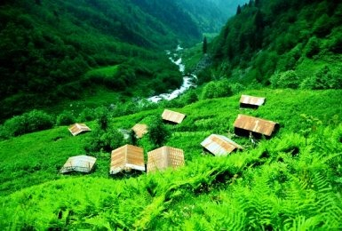 gallery/findikli-yaylasi